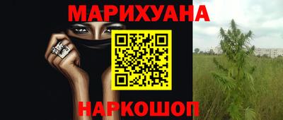 дмт Дубна