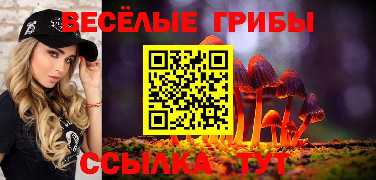 Галлюциногенные грибы мухоморы Ноябрьск